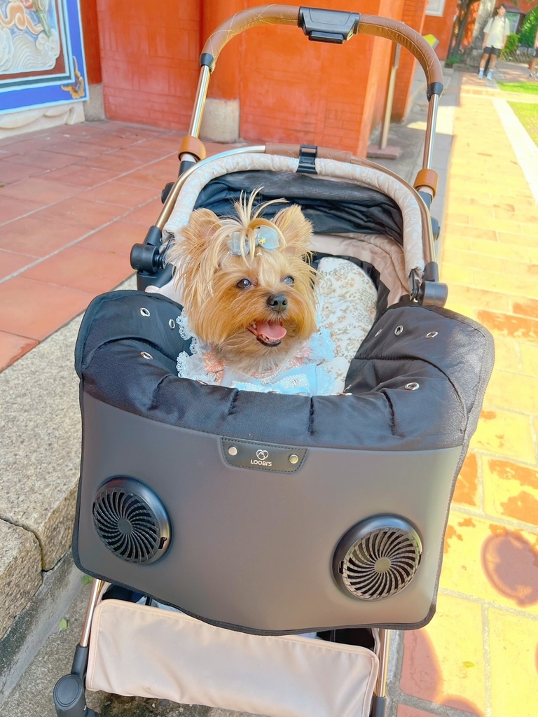 麻糬糬與Loobi's-Air Breeze 寵物循環風扇墊