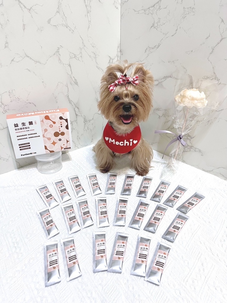 麻糬糬與FurtherMore胜肽膠原蛋白益生菌