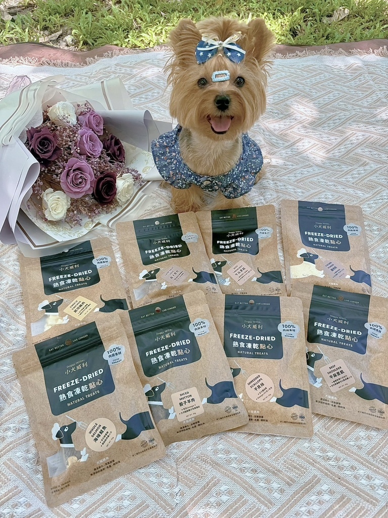 麻糬糬與小犬威利-COOK凍乾點心副食系列