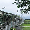 宜蘭河濱公園7.jpg