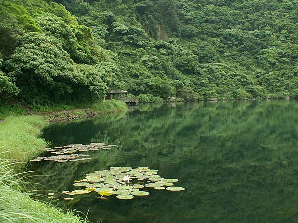 龜山島賞鯨5.jpg