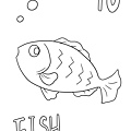010 fish'.jpg