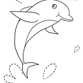 012 dolphin'.jpg