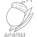 014 acorn'.jpg