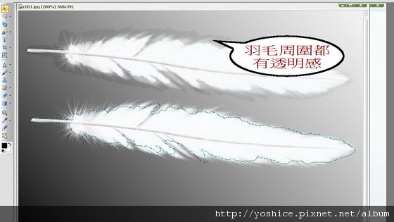 snap0645.jpg snap0645.jpg