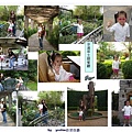 幸運草20070331.jpg