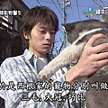 迷糊動物醫生-7.jpg