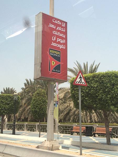 IMG_8897 IMG_8897