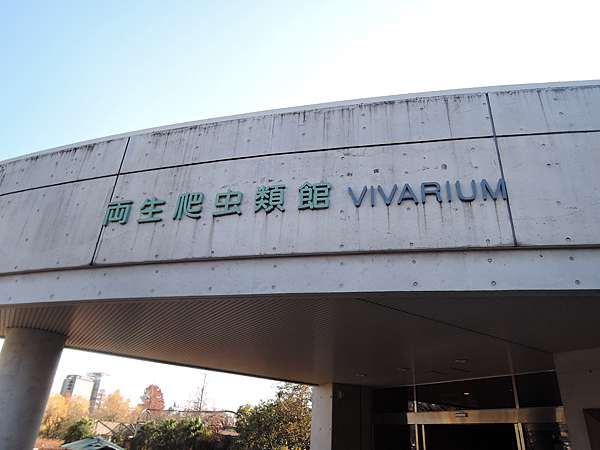 東京一上野動物園第4部 遛大小孩的好去處 愛玩的qq麻 痞客邦 東京一上野動物園第4部 遛大小孩的好去處 愛玩的qq麻 痞客邦