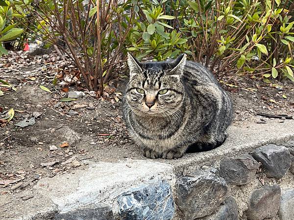 [食記] 京都米其林二星-祇園大渡:CP與創造力兼具