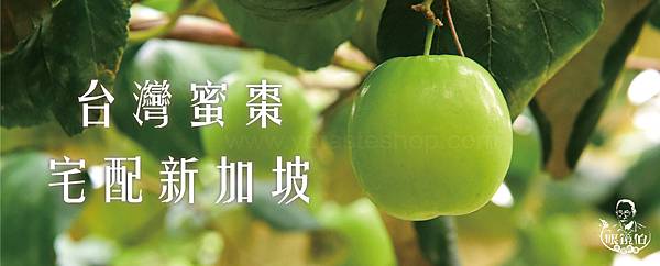 台灣雪梨蜜棗宅配寄送新加坡