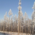 又是一張美麗的風景