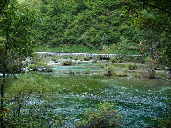 過了盆景灘陸上的風景