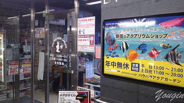 日本東京水族館紀行 友浚生技 痞客邦 日本東京水族館紀行 友浚生技 痞客邦