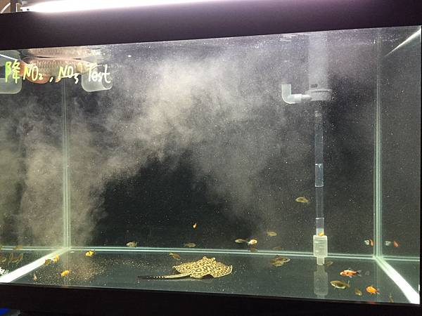 檔案 2015-5-23 上午1 11 04