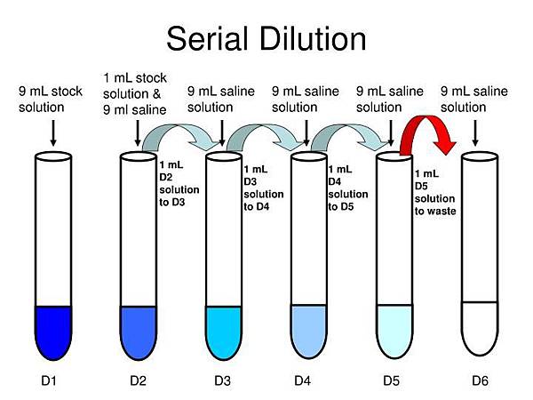 serial-dilution-n