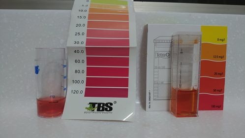 131401609_3820105171452605_3569116249583127936_n 131401609_3820105171452605_3569116249583127936_n