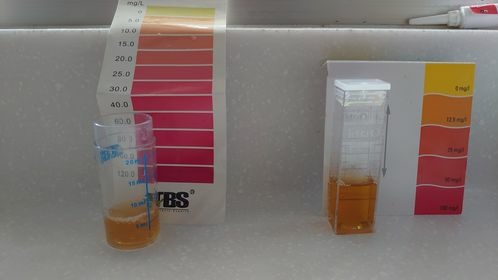 194157236_556186225548514_6789699671592101588_n 194157236_556186225548514_6789699671592101588_n