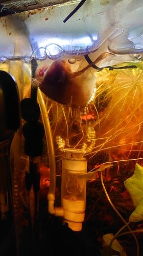 131449374_220839876530528_4994171156222124852_n 131449374_220839876530528_4994171156222124852_n