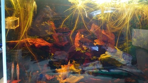 193101152_1389614568089629_5047178768654049742_n 193101152_1389614568089629_5047178768654049742_n