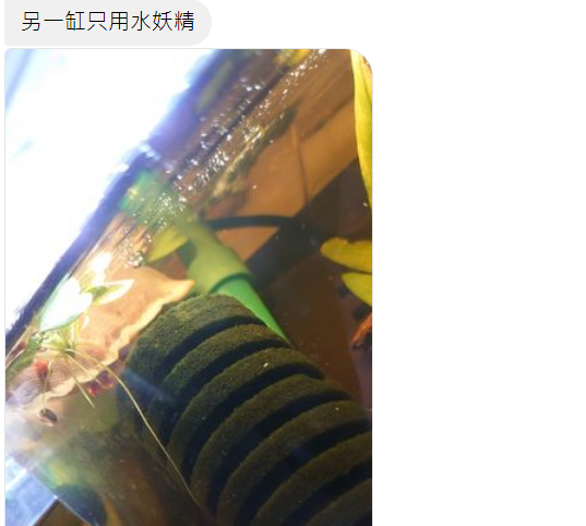 螢幕截圖 2021-06-18 21.24.07 螢幕截圖 2021-06-18 21.24.07