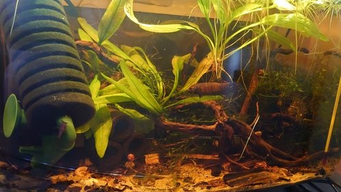 197127490_599446094349580_5942478838412500436_n 197127490_599446094349580_5942478838412500436_n