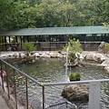 P1020233.JPG