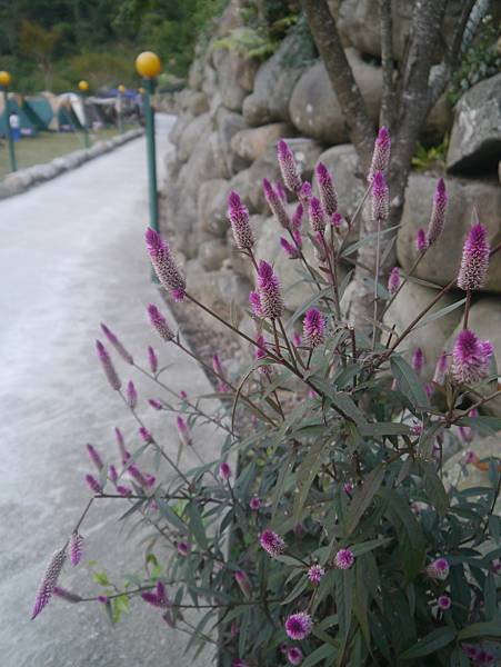 P1020271.JPG