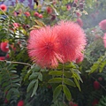 P1020340.JPG