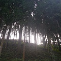 P1020480