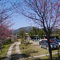 P1020561