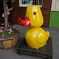 P1050482.JPG