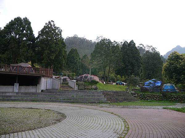 P1100166.JPG