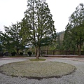P1100167.JPG
