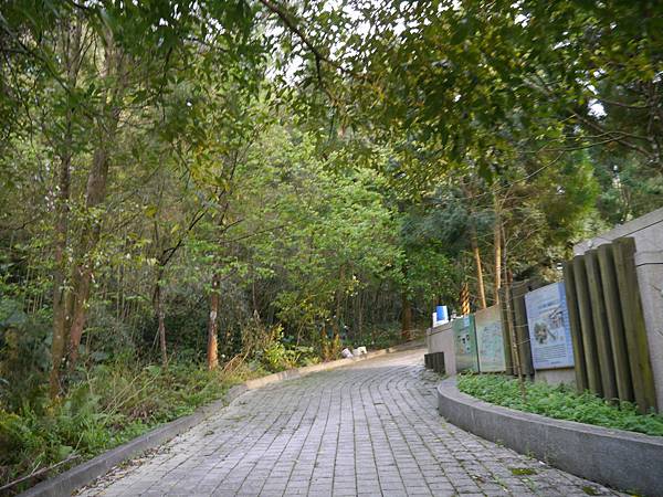 P1100169.JPG