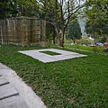 P1100173.JPG