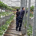 20160211_123223.jpg