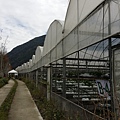 20160211_123211.jpg