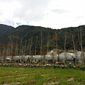 20160211_123619.jpg