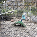 20160211_130010.jpg