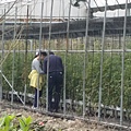 20160211_133331.jpg