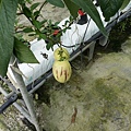 20160211_131849.jpg