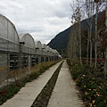 20160211_133717.jpg