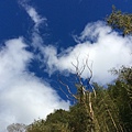201612尖石鄉_170419_0012.jpg