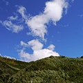 P1100511.JPG