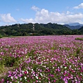 P1100515.JPG