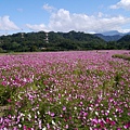 P1100516.JPG