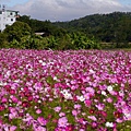 P1100527.JPG