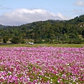 P1100536.JPG