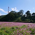 P1100543.JPG